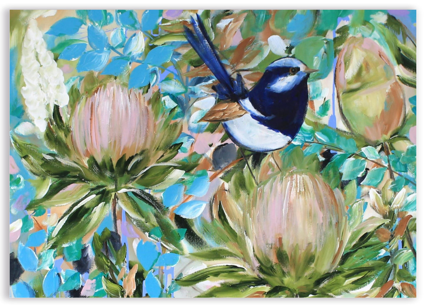 Blue Wren Serenade – A3 Art Print