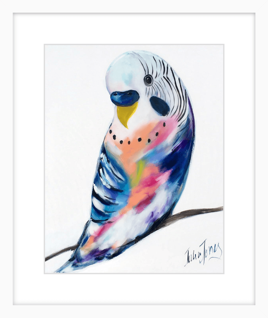 Print - My budgie