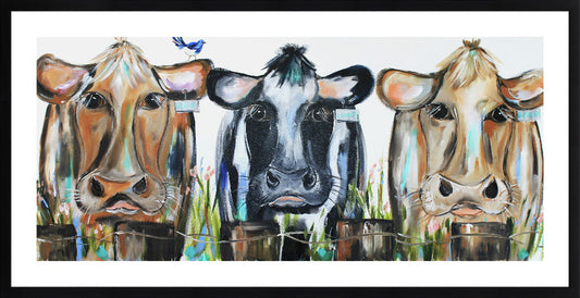 Print - 3 Cows in a paddock - 50 x 100