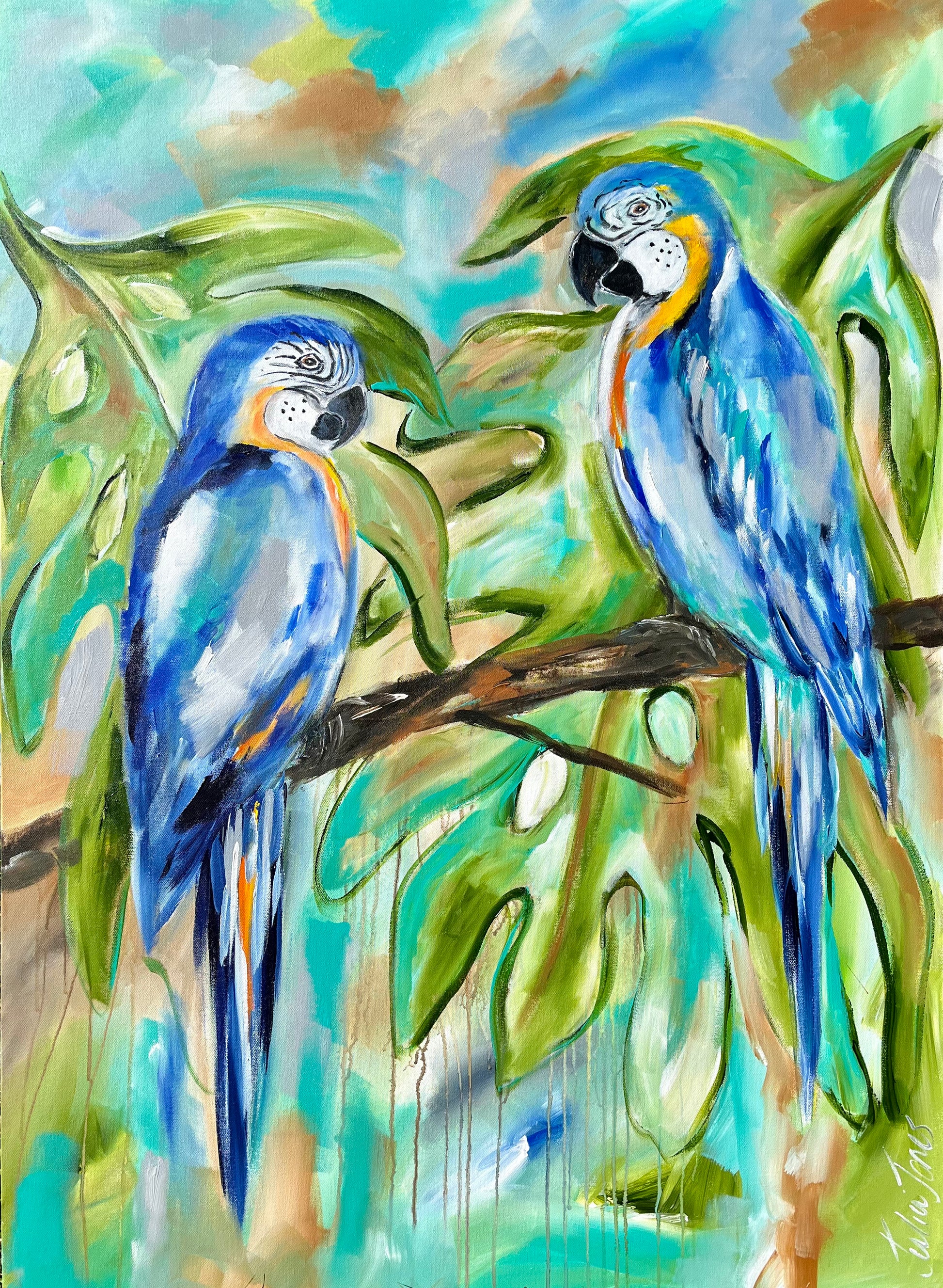 Birds - Enchanting Macaws - Julia Jones Art