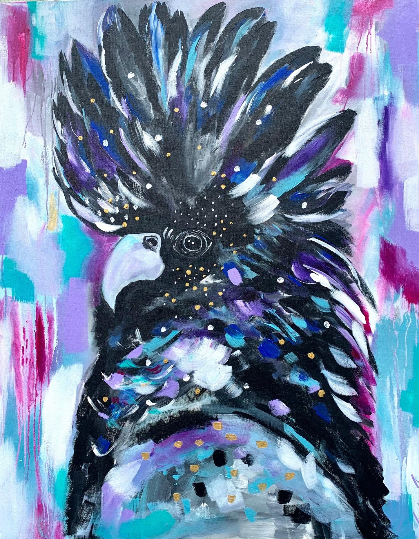 Birds - Striking Black Cockatoo
